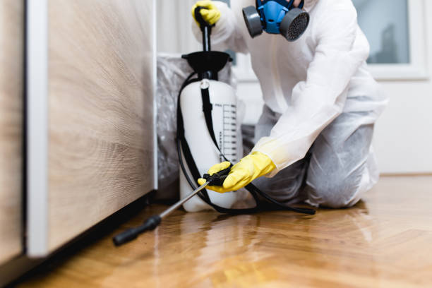 Best Residential Pest Control  in Lakeway, TX
