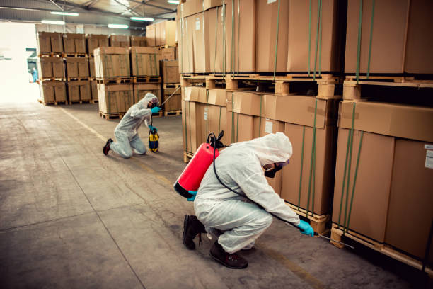 Best Pest Prevention Services  in Lakeway, TX