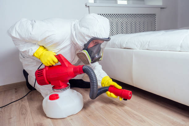 Reliable Lakeway, TX Pest Control Solutions