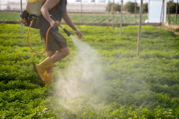 Best Pest Prevention Services  in Lakeway, TX