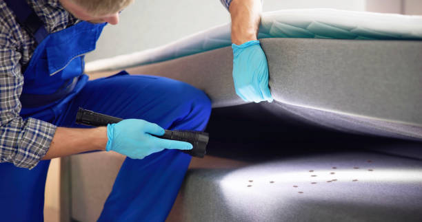 Pest Control Cost in Lakeway, TX